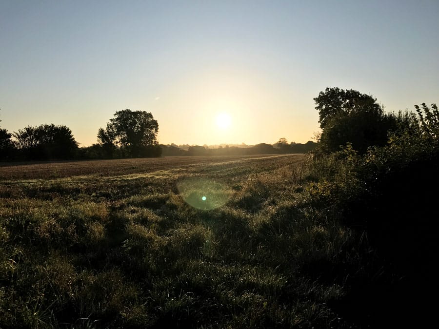 Land Acquisition